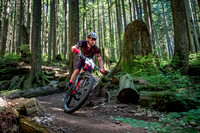 BCBR18_6_0007_SR