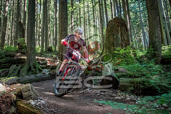 BCBR18_6_0007_SR