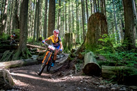 BCBR18_6_0015_SR