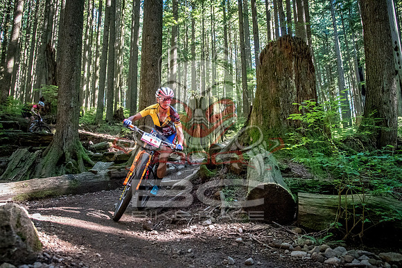 BCBR18_6_0015_SR