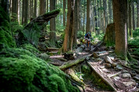 BCBR18_6_0003_SR