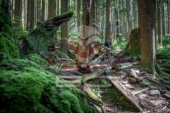 BCBR18_6_0003_SR