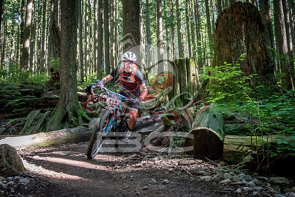 BCBR18_6_0024_SR