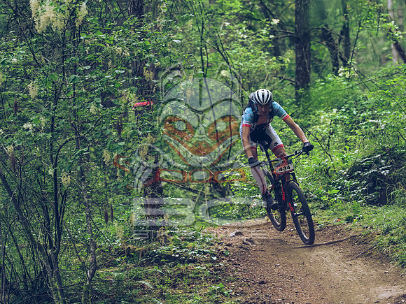 BCBR18_1_0117_LJ