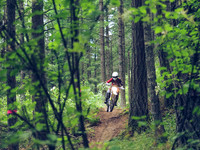 BCBR18_1_0018_LJ