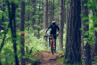 BCBR18_1_0060_LJ
