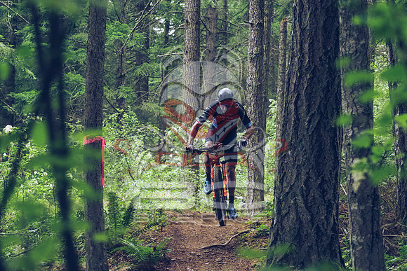 BCBR18_1_0060_LJ