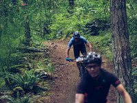 BCBR18_1_0091_LJ