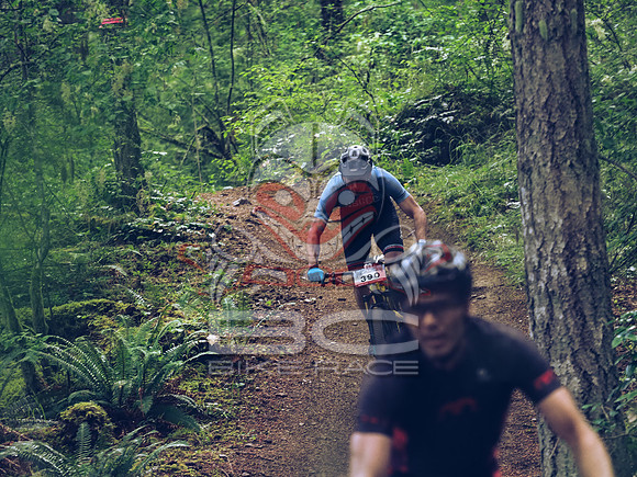 BCBR18_1_0091_LJ