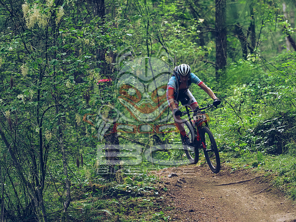 BCBR18_1_0116_LJ