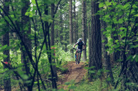 BCBR18_1_0025_LJ
