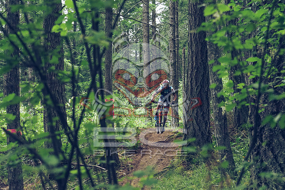 BCBR18_1_0025_LJ