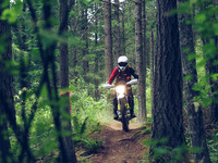 BCBR18_1_0054_LJ