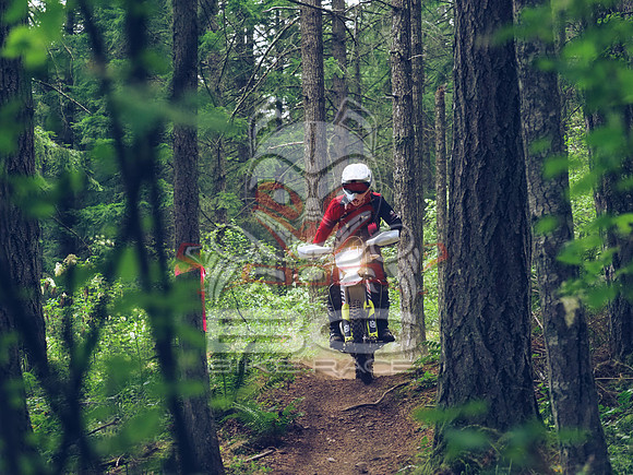 BCBR18_1_0054_LJ
