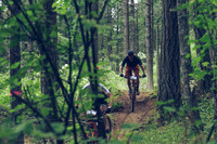 BCBR18_1_0046_LJ