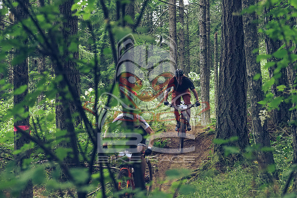 BCBR18_1_0046_LJ