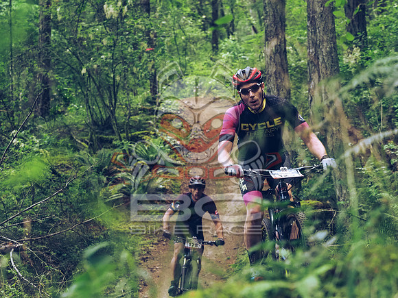 BCBR18_1_0073_LJ