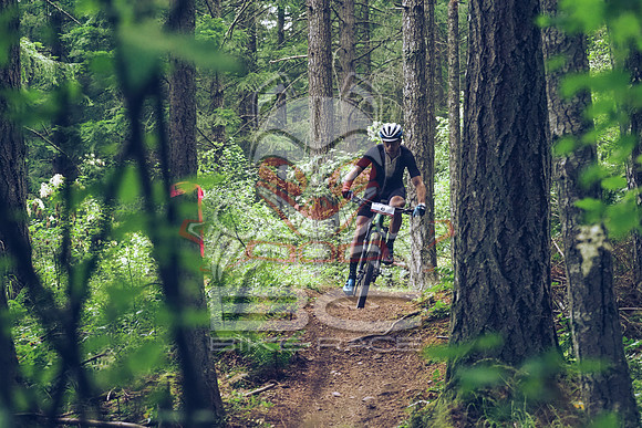 BCBR18_1_0047_LJ