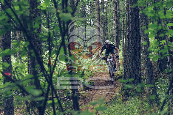 BCBR18_1_0032_LJ