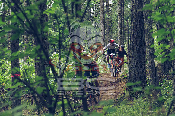 BCBR18_1_0041_LJ