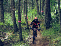 BCBR18_1_0015_LJ