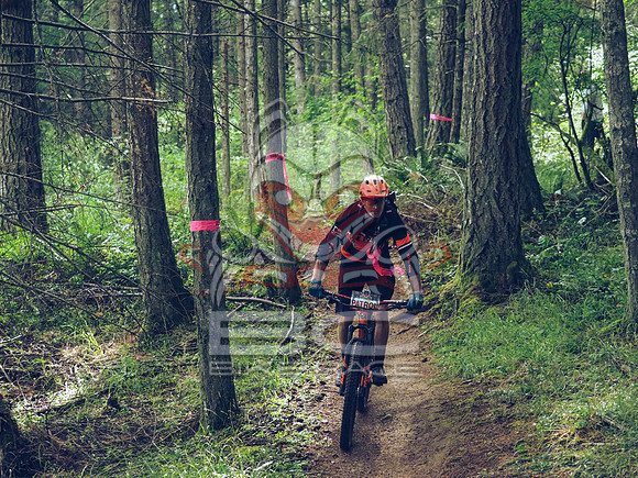BCBR18_1_0015_LJ