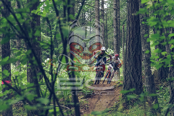 BCBR18_1_0037_LJ
