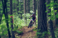 BCBR18_1_0061_LJ