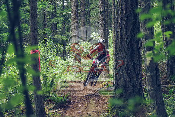 BCBR18_1_0061_LJ