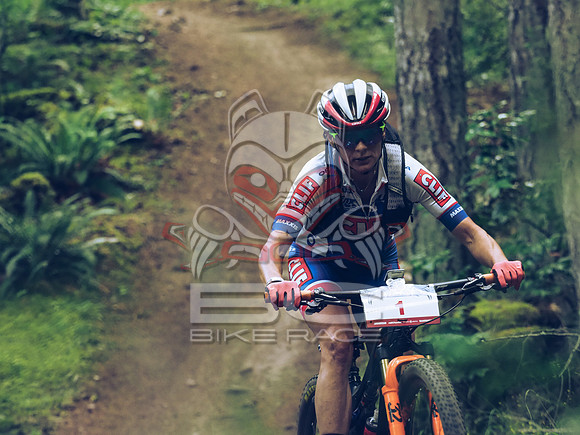 BCBR18_1_0111_LJ