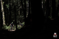 DS_BCBR15_4_8307