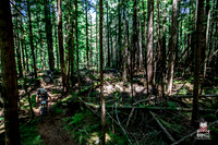 06_30_15_BCBR_03_0878
