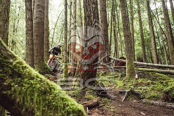 DS_BCBR16_2_0586