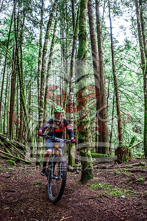 TW_BCBR2016_Day2_0453