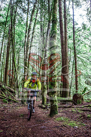 TW_BCBR2016_Day2_0520