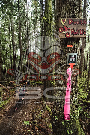 DS_BCBR16_2_0557