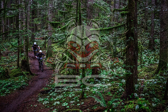 TW_BCBR2016_Day1_0970
