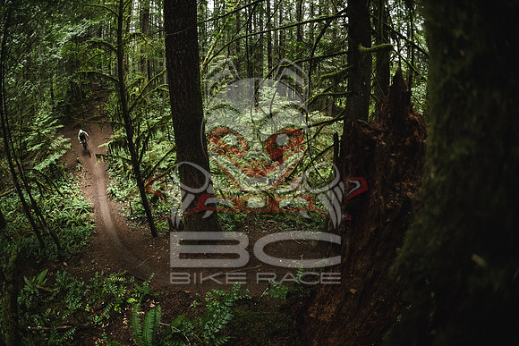 DS_BCBR16_1_0407