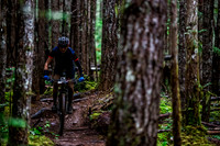 TW_BCBR2016_Day1_0735