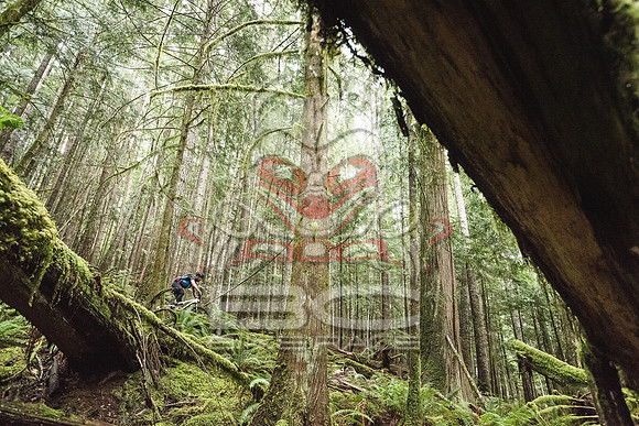 DS_BCBR16_2_0631
