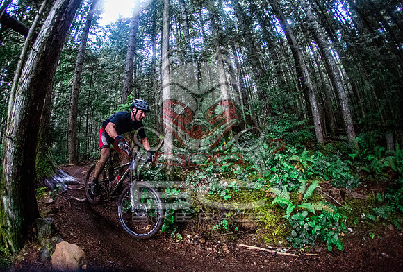 TW_BCBR2016_Day1_0741