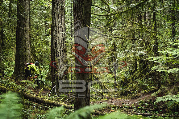 DS_BCBR16_1_0421