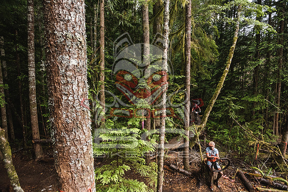 DS_BCBR16_1_0340