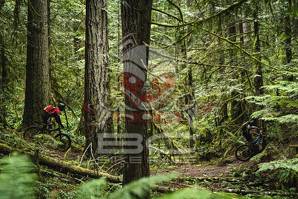 DS_BCBR16_1_0422