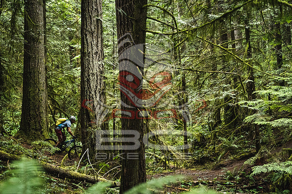 DS_BCBR16_1_0417