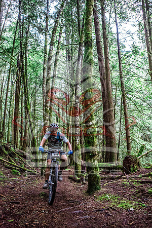 TW_BCBR2016_Day2_0447