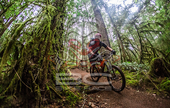 TW_BCBR2016_Day1_0956