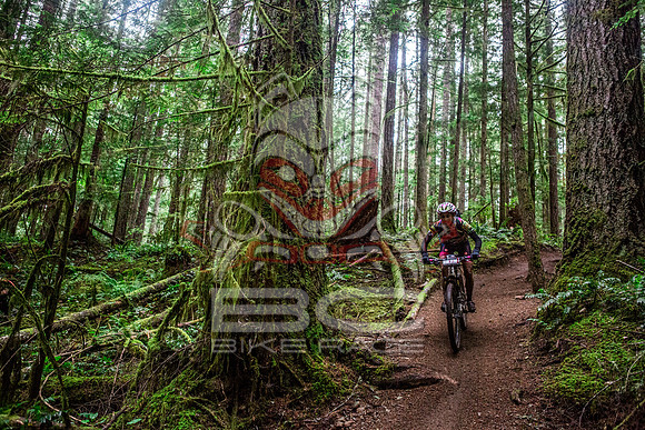 TW_BCBR2016_Day1_0911