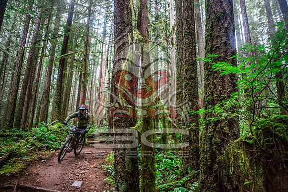 TW_BCBR2016_Day1_0886