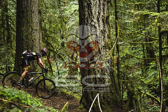 DS_BCBR16_1_0424